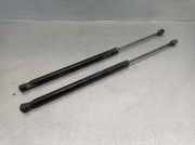 Gasdruckfedern Set Hinten 8200484676 Renault SCÉNIC II (JM0/1_) 1.9 dCi (JM14)