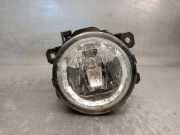Nebelscheinwerfer Rechts Vorne E3B515B243AA Ford EcoSport (JK8) SUV 1.0 EcoBoost 12V 125 (M1JJ)