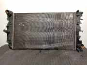 Radiator 2E0121253A Volkswagen CRAFTER CAJA CERRADA 2.5 TDI DPF BJL