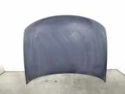 Motorhaube 3B0823031E Volkswagen Passat (3B2) Limousine 1.9 TDi 110 (AFN) AFN