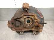 Achsschenkel Halter Links Hinten 43019EB300 Nissan Pathfinder (R51) SUV 2.5 dCi 16V (YD25DDTi)