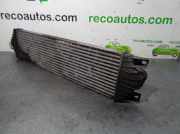 Ladeluftkühler 7701057121 Nissan Interstar (X70) Van 2.5 dCi 16V 120 (G9U-650)