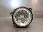 Nebelscheinwerfer Rechts Vorne E3B515B243AA Ford Ka+ Schr?gheck 1.2 Ti-VCT (YSKD)