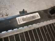Radiator 8960650000 Fiat Doblo Cargo (263) Van 1.3 D Multijet (263.A.2000)