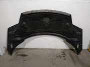 Motorhaube 7901N3 Citroën C8 (EA/EB) Großraumlimousine 2.2 HDi 16V (DW12TED4.FAP(4HW))