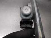 Fensterheber Rechts Vorne 8201010936 Renault SCENIC II 1.5 dCi Diesel