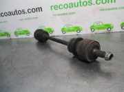 Heckschloss 8726C9 Citroën Berlingo Van 1.6 HDI 16V 75 (DV6BTED4(9HW))