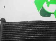 Bremsscheibe Hinten 4243153011 Lexus IS (E1) Limousine 200 2.0 24V (1G-FE)