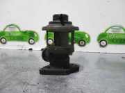 Agr Ventil Peugeot 306 BERLINA 3/5 PUERTAS (S1) 1.9 Diesel