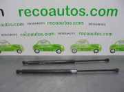 Gasdruckfedern Set Hinten 9629818980 Citroën Xsara Break (N2) Kombi 1.9 TD X,SX,Exclusive (XUD9TE(DHY))