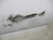 Tür Rechts Hinten 1694250 Ford Mondeo IV Schrägheck 1.6 TDCi 16V (T1BB)