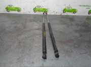 Gasdruckfedern Set Hinten 9619704180 Peugeot 106 II Schrägheck 1.1 XN,XR,XT,Accent (TU1M(HDZ))