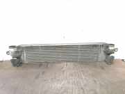 Ladeluftkühler 14461JG70B Renault I (HY_) 2.0 dCi (HY0K)