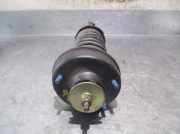 Stoßdämpfer Links Hinten 95AB18K076EF Ford ESCORT BERLINA/TURNIER 1.8 Turbodiesel