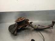 Achsschenkel Halter Links Vorne A2203302320 Mercedes-Benz S (W220) Limousine 5.0 S-500 V8 24V 4-Matic (M113.966)