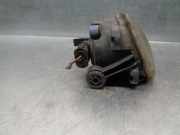 Nebelscheinwerfer Rechts Vorne 63176920886 BMW X5 (E53) SUV 3.0d 24V (M57N-D30(306D2))