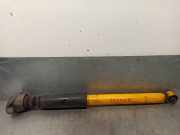 Stoßdämpfer Links Hinten 8N0513025C Seat Leon (1M1) Schrägheck 5-drs 1.9 TDI Cupra 4 (ARL)