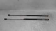 Gasdruckfedern Set Hinten 1Z9827550 Skoda Octavia (1Z3) Liftback 1.9 TDI (BXE)