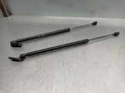 Stoßdämpfer Rechts Hinten 8200556691 Renault CLIO III 1.4 16V