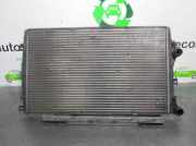 Radiator 1K0121253AA Skoda Octavia (1Z3) Liftback 1.9 TDI (BLS)
