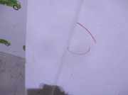 Motorhaube 811823029 Audi Coupé (B2) Coupé 2.2 GT (KV)