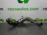 Schlauch 8200185556B Renault II SedÃ¡n (LM0/1_) 1.9 dCi (LM0G, LM1G, LM2C)
