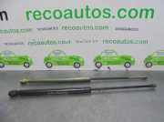 Gasdruckfedern Set Hinten 1J6827550 Volkswagen Golf IV (1J1) Schrägheck 1.9 TDI (AGR) AGR