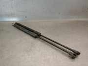 Gasdruckfedern Set Hinten 6896005073 Toyota Avensis Wagon (T25/B1E) Kombi 2.4 16V VVT-i D4 (2AZFSE)