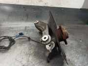 Achsschenkel Halter Rechts Hinten 517629 Citroën C5 III Berline (RD) Schrägheck 2.0 HDiF 16V (DW10BTED4(RHF))