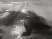 Ölwannenabdeckung 8200795110 Nissan Primastar Van 2.0 dCi 120 (M9R-780(Euro 5))