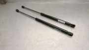 Gasdruckfedern Set Hinten 844300001R Renault III (BT0/1) 2.0 dCi (BT07, BT0J, BT14, BT1A, BT1S)