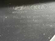 Türverkleidung Links Vorne 823101W010 Kia Rio III (UB) Schrägheck 1.1 CRDi VGT 12V (D3FA)