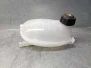 Ausgleichbehälter - - 217102572R Renault Clio V (RJAB) Schrägheck 5-drs 1.6 E-Tech 140 16V (H4M-632(H4M-C6))