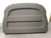 Hutablage 794200020R Renault Megane III Coupe (DZ) Schrägheck 3-drs 1.4 16V TCe 130 (H4J-700(H4J-A7))