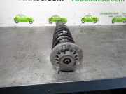 Stoßdämpfer Links Hinten 3350677573502 BMW SERIE 5 LIM. (F10) 520i