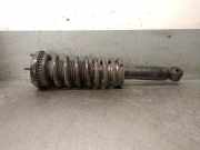 Stoßdämpfer Links Hinten 4R8318080AA Jaguar S-type (X200) Limousine 2.7 D 24V (7B)