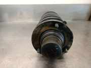 Stoßdämpfer Links Hinten RPB000050 Land + Range Rover Freelander Hard Top Geländewagen 2.0 td4 16V (204D3)