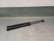 Gasdruckfedern Set Hinten 6895002041 Toyota (_E12_) 2.0 D-4D (CDE120R_, CDE120L_)