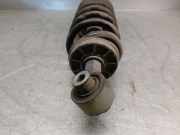 Stoßdämpfer Links Hinten 9805434580 Peugeot I (8D_) 2.0 BlueHDi 180