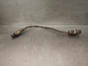 Lambdasonde 55189996 Fiat Ducato (250) Van 3.0 D 160 Multijet II Power (F1CE3481M(Euro 5))