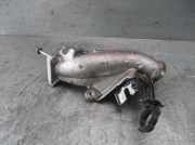 Schlauch 0269173 Renault II (BG0) 1.9 dCi Diesel FAP CAT