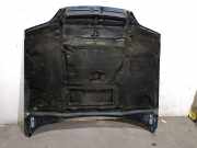 Motorhaube 7901G3 Citroën Xsara (N1) Schrägheck 1.9TD X,SX,Exclusive (XUD9TE(DHY))