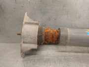 Türverkleidung Links Hinten 82951E0000 Nissan X-Trail (T30) SUV 2.2 dCi 16V 4x4 (YD22ETi)