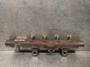 Einspritzdüsen Düsenstock 8200815617 Nissan I (J10, NJ10) 1.5 dCi