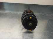 Sto?d?mpfer Links Vorne 8200149048 Renault (BJ0) 2.2 dCi Turbodiesel FAP CAT