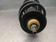 Stoßdämpfer Rechts Vorne 543020474R Renault II (HF_) LPG (HFMT)