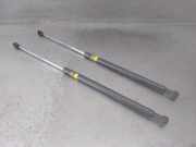 Gasdruckfeder Set Vorne 5344053020 Lexus III (_E3_) 300h (AVE30_)