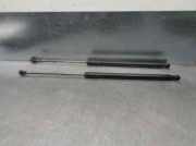 Gasdruckfedern Set Hinten 9813913880 Citroën C4 Cactus (0B/0P) Schrägheck 5-drs 1.6 e-Hdi 92 (DV6DTED(9HP))