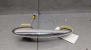 Türgriff Außen Links Hinten 51219803705 Mini Countryman (R60) SUV 1.6 Cooper D (N47-C16A)
