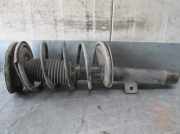 Sto?d?mpfer Rechts Vorne 1632006880096181 Peugeot 206 (2A/C/H/J/S) Schr?gheck 1.9 D (DW8B(WJY))